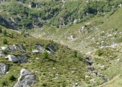 P1020261