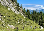 IMG_0724