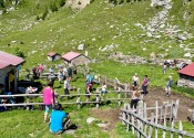 IMG_0725