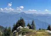 IMG_2371