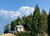 IMG_9061