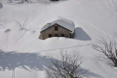 Inverno 2014 - Dario